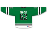 Custom Talkeetna Artic Terns Hockey Jersey