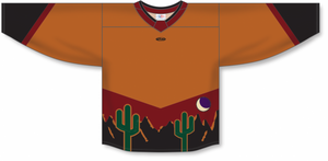 Athletic Knit (AK) Custom ZH181-ARI3110 2022 Arizona Coyotes Reverse Retro Orange Sublimated Hockey Jersey