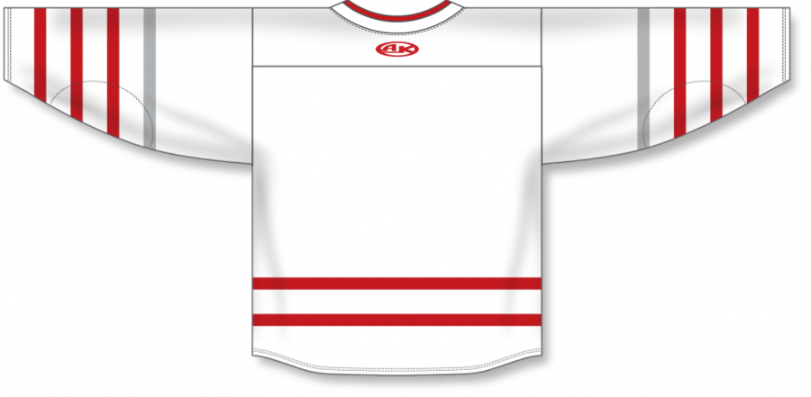 Athletic Knit AK Custom ZH181 DET3128 2017 Detroit Red Wings Centenn PSH Sports