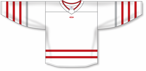 Athletic Knit AK Custom ZH181 DET3128 2017 Detroit Red Wings