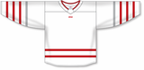 Athletic Knit (AK) Custom ZH181-DET3128 2017 Detroit Red Wings Centennial Classic White Sublimated Hockey Jersey