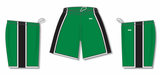 Athletic Knit (AK) BS1735Y-440 Youth Kelly Green/Black/White Pro Basketball Shorts